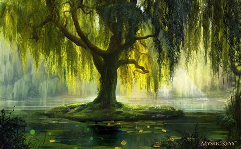 Willow Tree Wallpapers - Top Free Willow Tree Backgrounds - WallpaperAccess