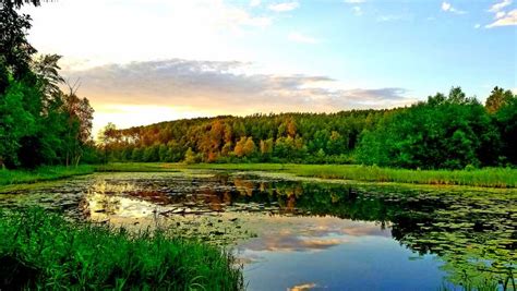 The 15 Best Trails To Go Hiking In Minnesota - Beyond The Tent