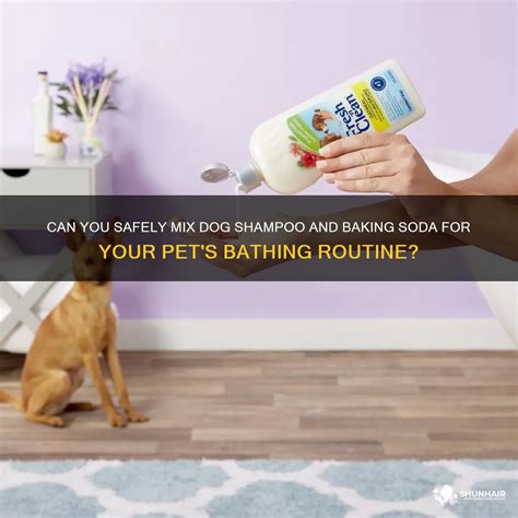 Can You Safely Mix Dog Shampoo And Baking Soda For Your Pet's Bathing Routine? | ShunHair