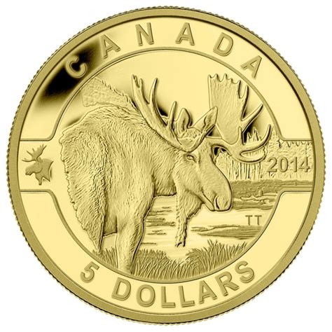 2014 Canadian $5 O Canada Series: Moose - 1/10 oz Pure Gold Coin