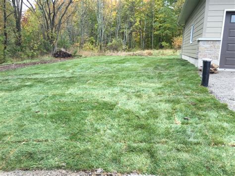 Sodding and Seeding - Eric Hultink Landscaping