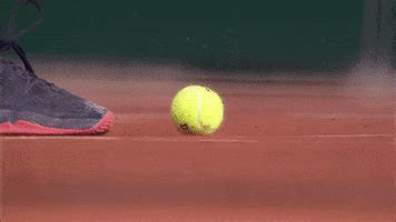 Tennis Ball GIFs - Find & Share on GIPHY