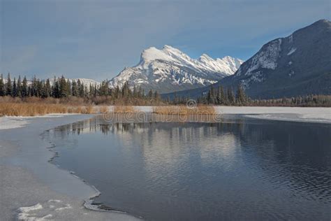 Winter View of Vermilion Lakes Stock Photo - Image of coniferous ...