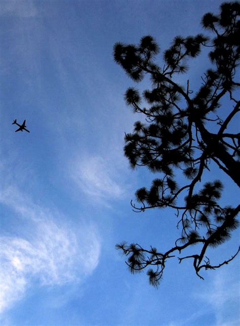 Silhouettes in the sky. Photo by http://www.gravitymanpictures.com ...