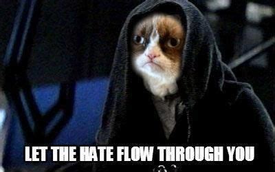 Grumpy Cat/Star Wars / internet memes - Juxtapost