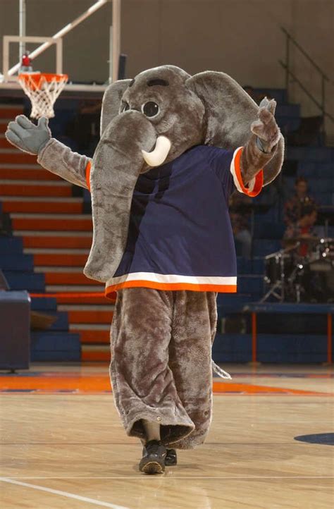 Cal State Fullerton Titans mascot, Tuffy the Titan. | College Mascots ...