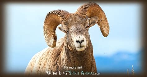 Ram Symbolism & Meaning | Spirit, Totem & Power Animal