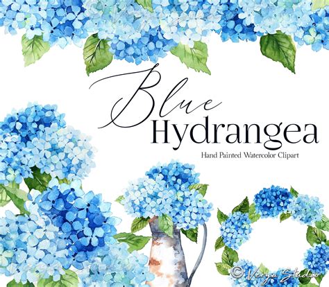 Blue Hydrangea Watercolor Floral Clipart Flowers Clip Art - Etsy