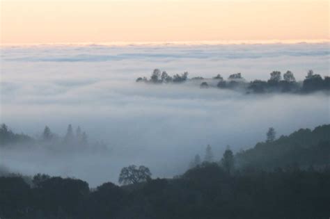 "in the event of a NON-TRADITIONAL landing. . . ": FOG VS DENSE FOG