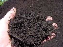 The Importance of Organic Matter in Soil | TurfGator