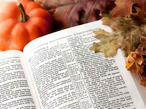 18 Fall Bible Verses to Help You Embrace the Season - Pray With Confidence