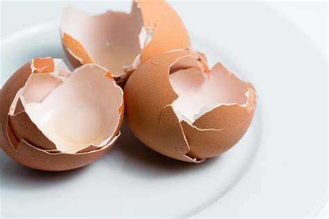 How Eggshells Can Improve Your Garden