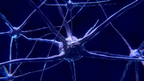 'Simple, But Powerful' Model Reveals Mechanism Behind Neuron ...