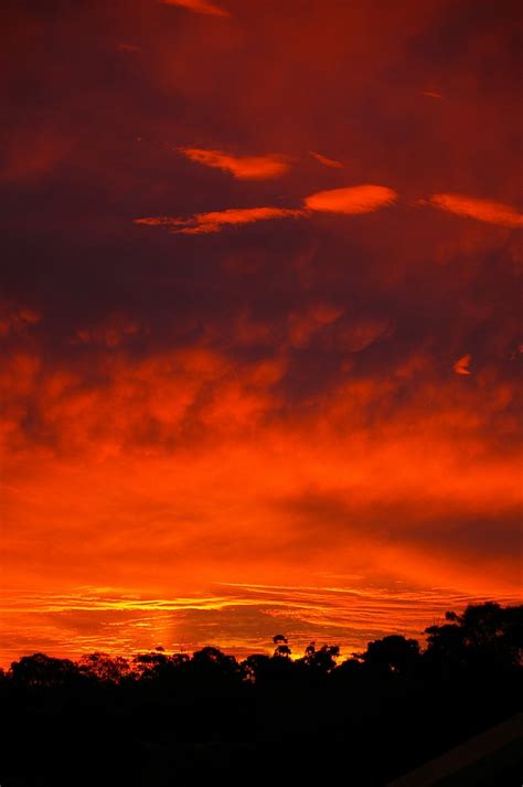 Fiery Sunset 2 Free Photo Download | FreeImages