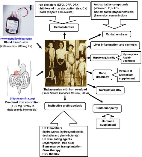 Thalassemia Management