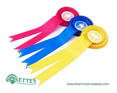 Dressage – From Military Manoeuvering to Equine Artform – Shamrock Rosettes