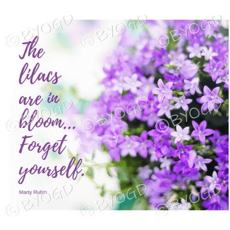 Quote image 91: The lilacs are in bloom ⋆ Be Your Own Graphic Designer