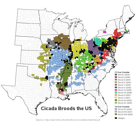 [OC] US Cicada broods map (and animated map) : r/dataisbeautiful