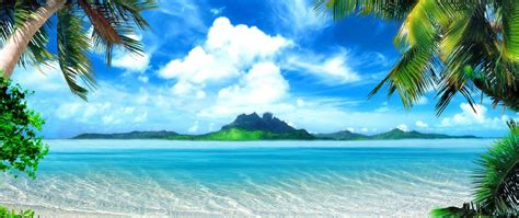 Free download Tropical Ocean Island Palm Trees HD Wallpaper 4K Ultra HD ...