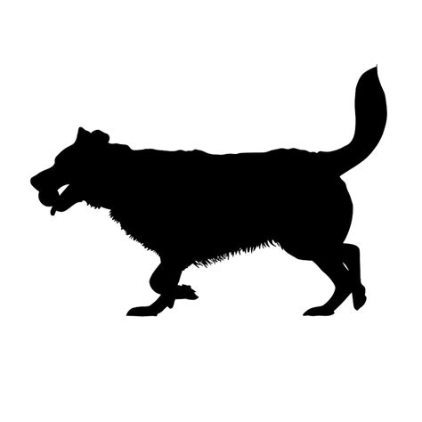 illustration, dog silhouette, ball., silhouette, dog, ball, catches, run | Piqsels