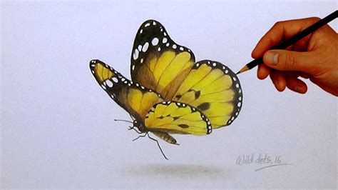 Drawing A Butterfly | Simple And Easy Steps | | Butterfly drawing, Drawings, 3d drawings