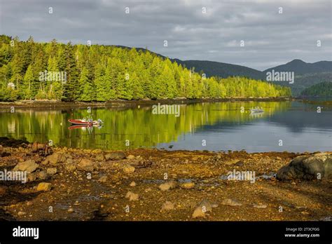 Peaceful morning at the old Rose Harbour Whaling Station on Kunghit ...