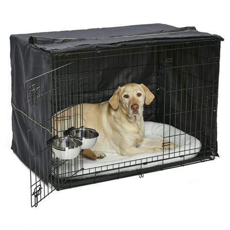 MidWest Dog Crate Starter Kit | 42" 2-Door iCrate, Pet Bed, Crate Cover ...