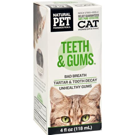 How to Treat Gingivitis in Cats