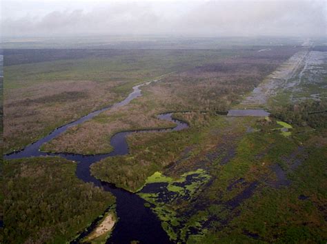 Kissimmee River | Florida Fishing Lakes | Osceola County