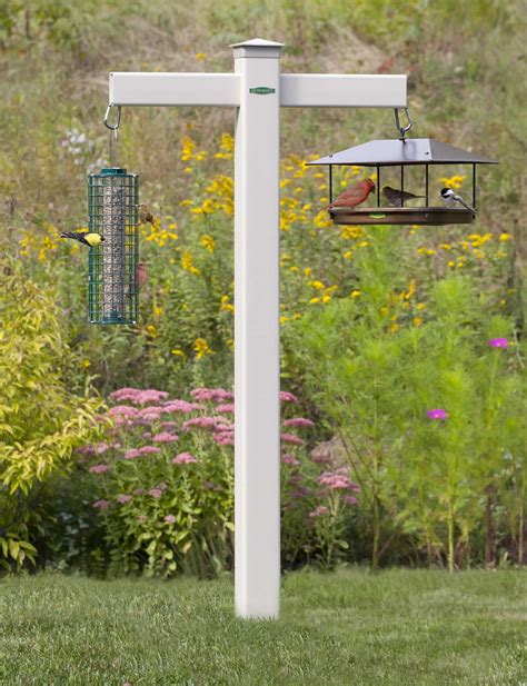 Some Facts About a Bird Feeder Stand | Birdcage Design Ideas