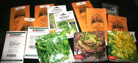 Skippy's Vegetable Garden: lettuce seeds