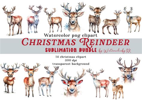 Watercolor Christmas Reindeer Bundle Graphic by WatercolorByKr ...