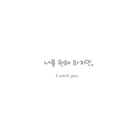 koreanphrases | Tumblr liked on Polyvore featuring fillers, text ...