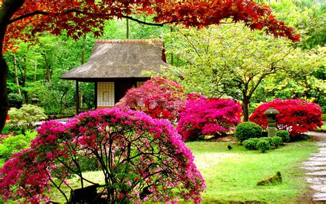 Beautiful Garden Wallpapers - Wallpaper Cave