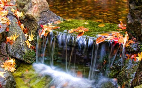 Colorfall Wallpaper Waterfalls Nature Wallpapers in jpg format for free download