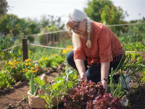 How Does Gardening Help the Elderly