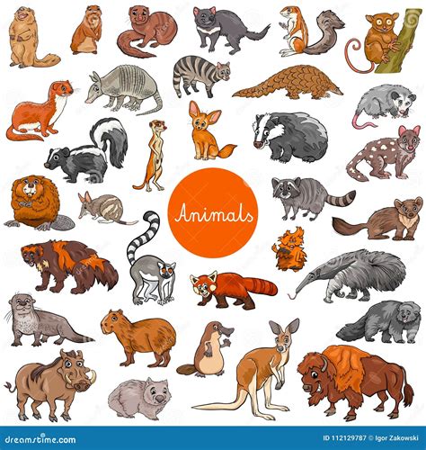 Wild Mammals Animal Characters Big Set Stock Vector - Illustration of ...