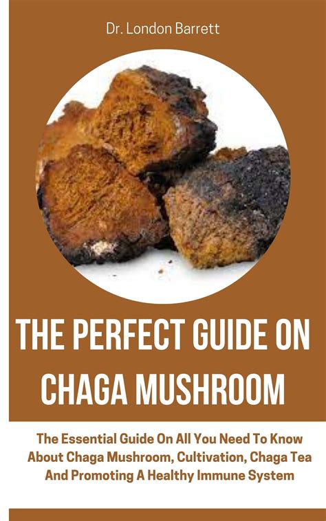 THE PERFECT GUIDE ON CHAGA MUSHROOM : The Essential Guide On All You Need To Know About Chaga ...