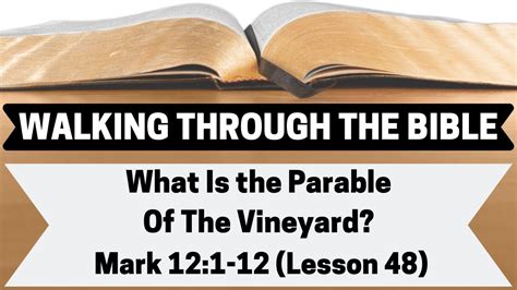 What Is the Parable of the Vineyard? [Mark 12:1-12][Lesson 48][W.T.T.B ...