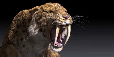 43 Earth-Shaking Facts About Prehistoric Beasts