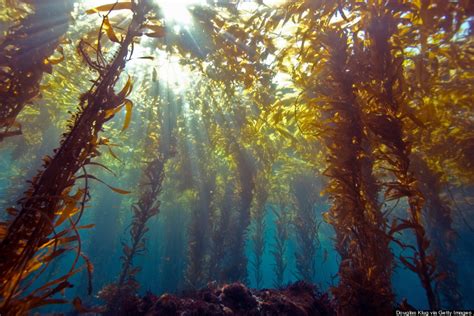 16 Reasons To Love (And Respect) The Ocean | HuffPost