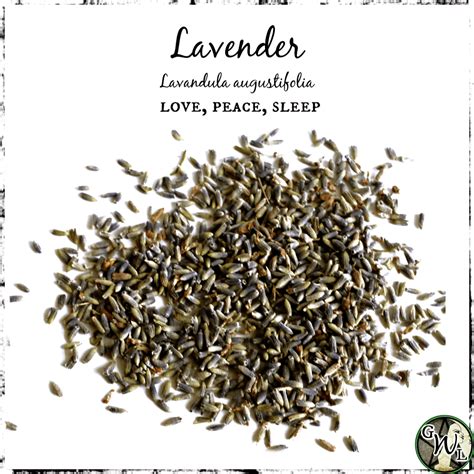 lavender seeds on a white background with the words lavender love, peace and sleep above it