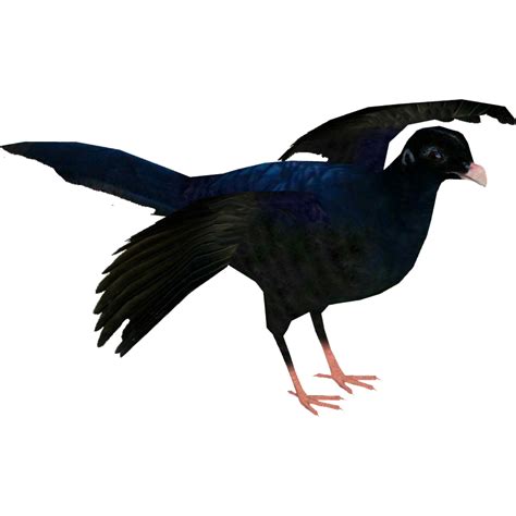 Alagoas Curassow (Whalebite) | ZT2 Download Library Wiki | Fandom