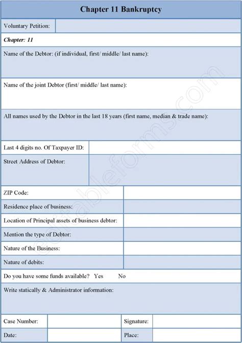 Chapter 11 Bankruptcy Form | Editable PDF Forms