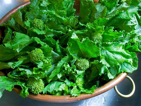 How to Cook Rapini – Forktales