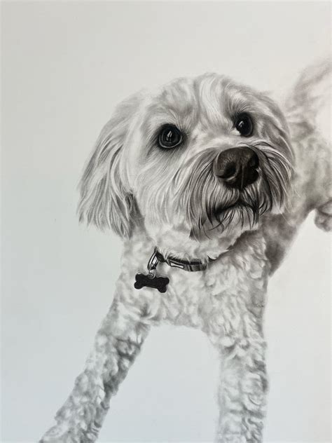 [OC] Beautiful drawing of Max : r/DOG