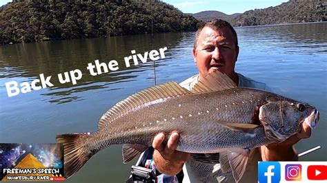 hawkesbury river fishing Back up the river - YouTube