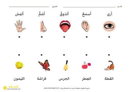 الحواس الخمس مطبوعات أوراق عمل - شمسات