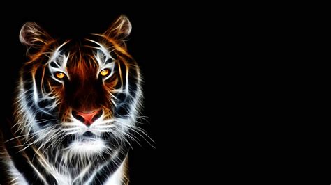 🔥 [19+] 4k Tiger Wallpapers | WallpaperSafari