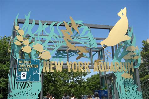 New York Aquarium | Organizations | NYC-ARTS